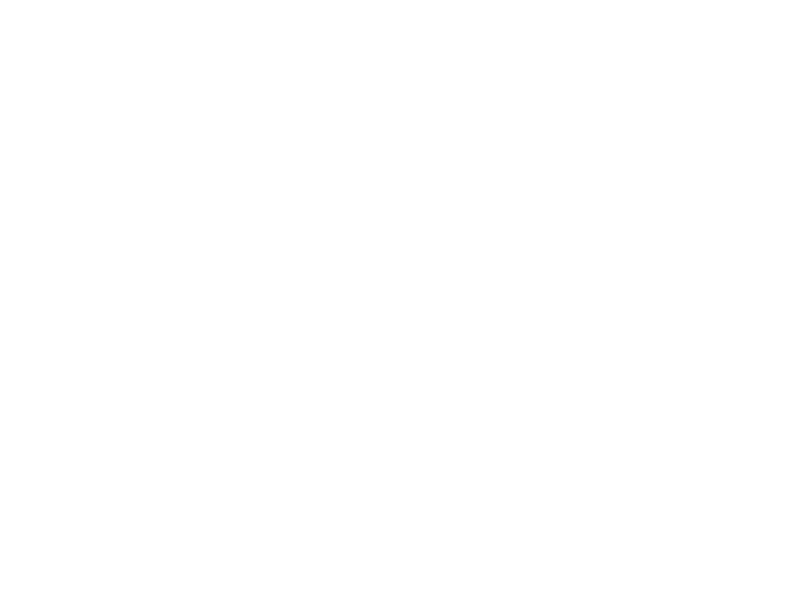 Goodness Logo white